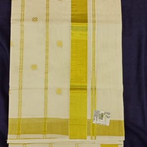 SAREE - HFS 109
