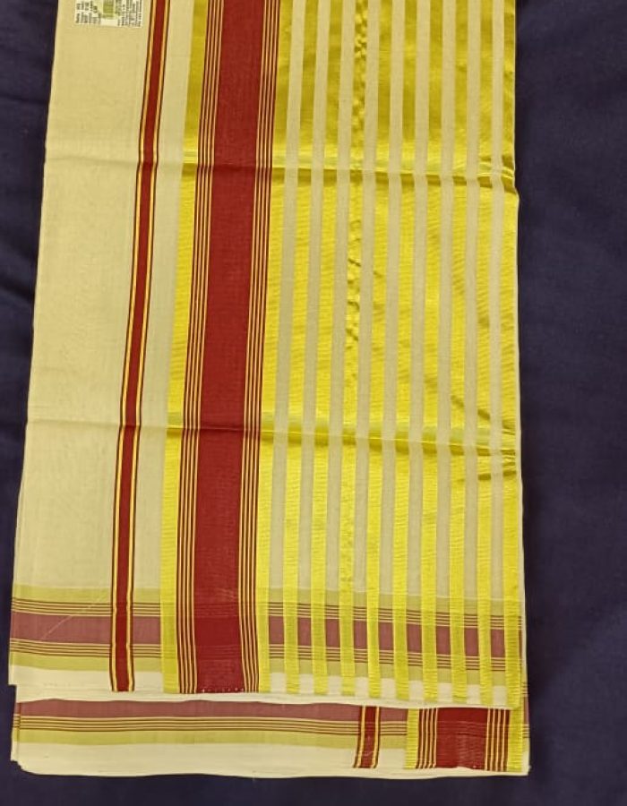 SAREE – HFS 113