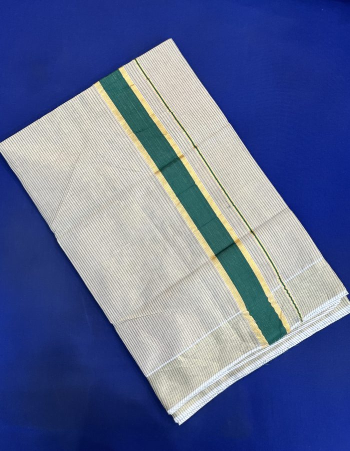 SAREE – HFS 137